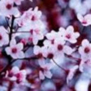 Meet your Posher, Claire